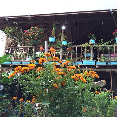 La Fortuna Wood House Hostel מראה חיצוני תמונה