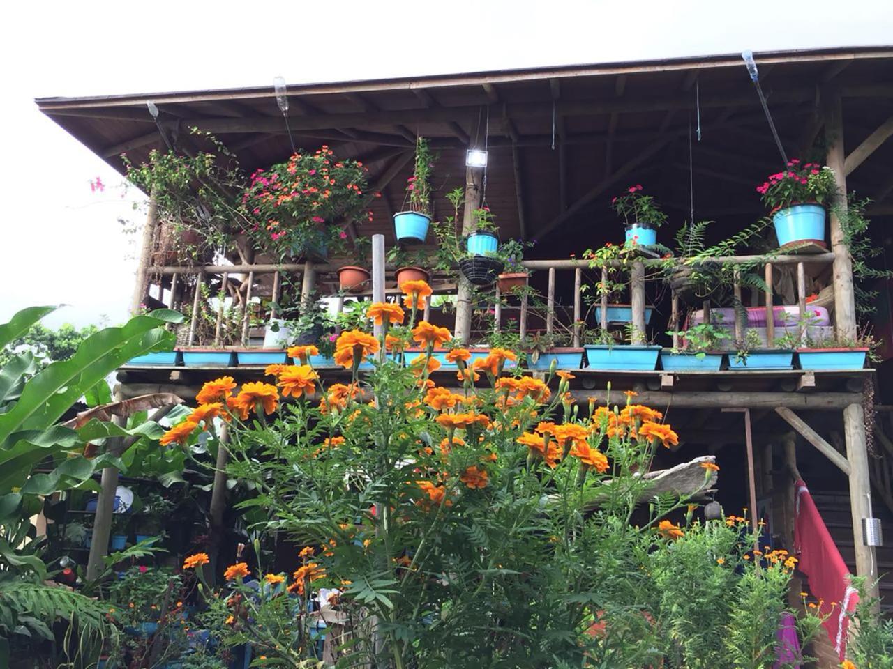 La Fortuna Wood House Hostel מראה חיצוני תמונה