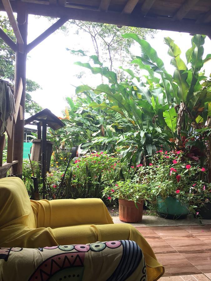 La Fortuna Wood House Hostel מראה חיצוני תמונה