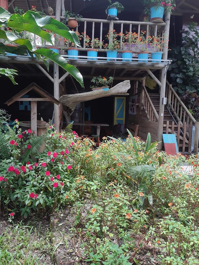 La Fortuna Wood House Hostel מראה חיצוני תמונה